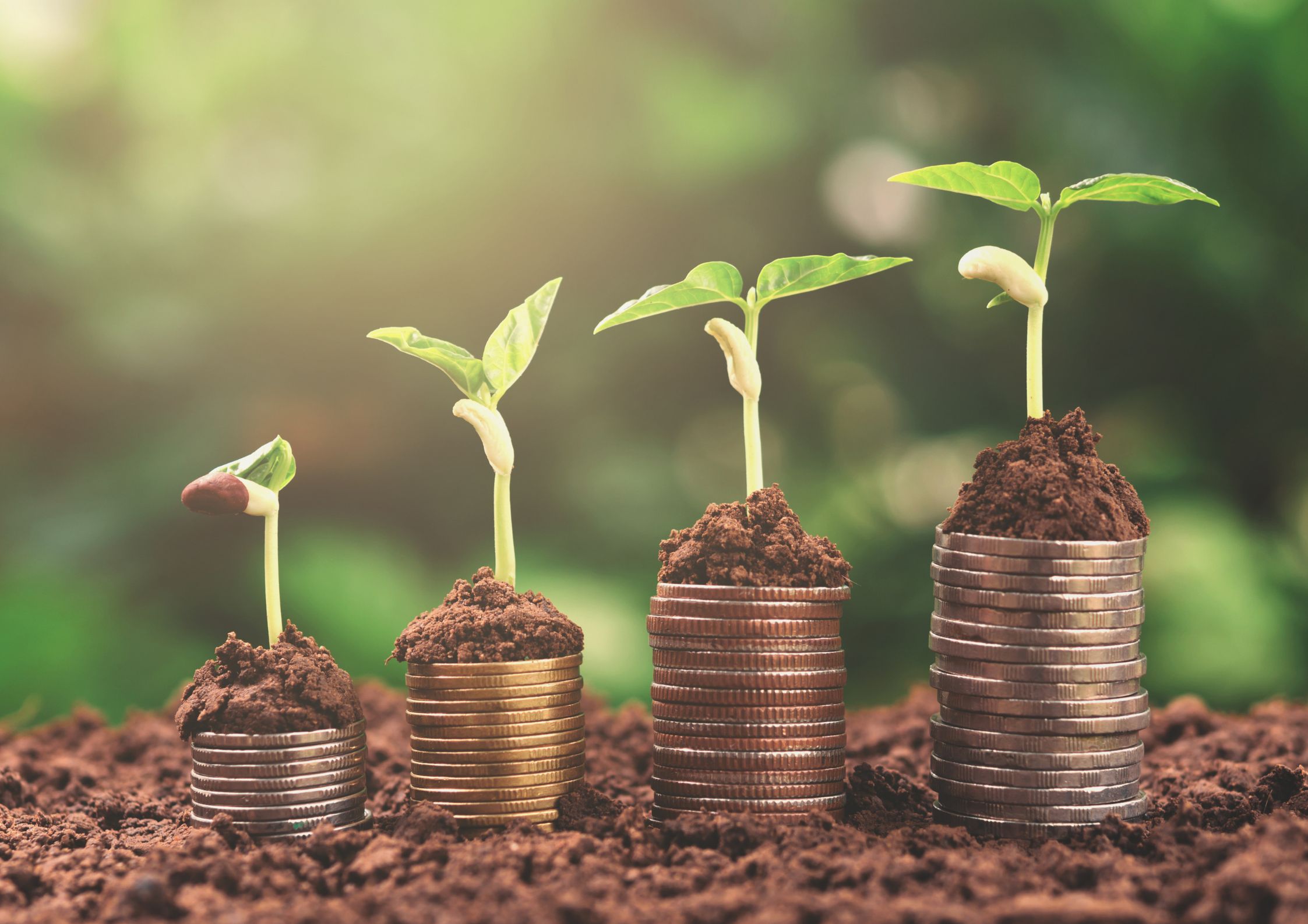 financieel management